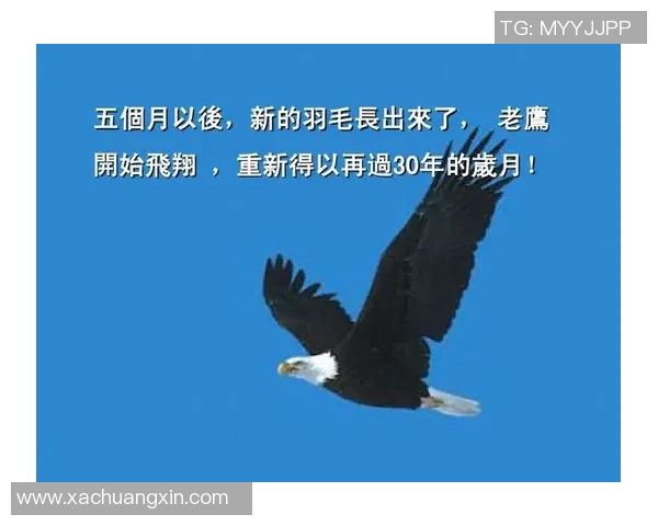 广州羽毛球队在世锦赛中的蜕变与新战略探索之路 广州羽毛球队在世锦赛中的蜕变与新战略探索之路